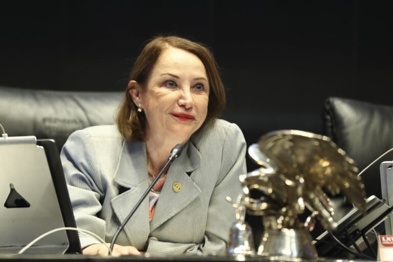 Advierte Laura Itzel que la Libertad de Expresión está Garantizada en el Senado