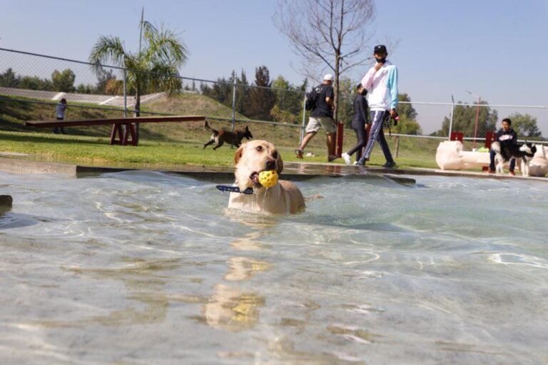 En Tecámac los Perros tienen su Parque