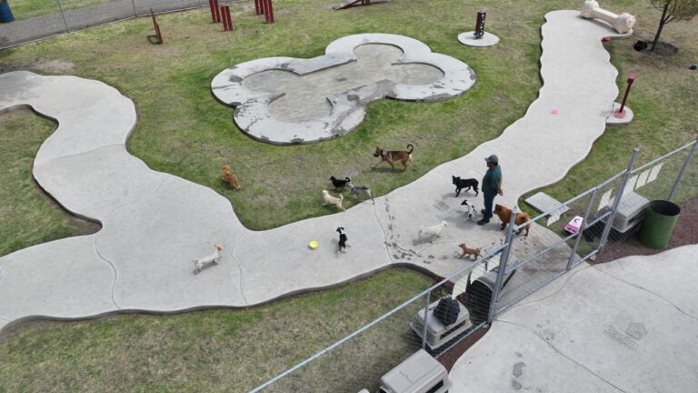 El Parque Canino, con Gran Aceptación Entre los Tecamaquenses