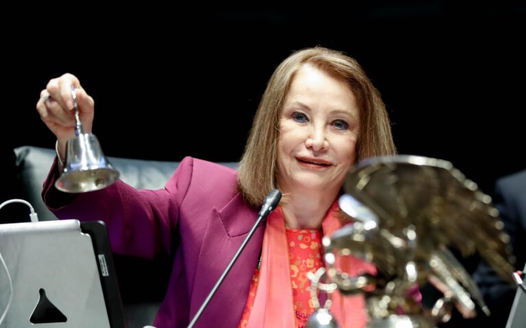 Con Reforma Electoral Aprobada por el Senado Avance Lucha para Eliminar Privilegios: Laura Itzel Castillo