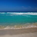PUNTALES/ Spring Breakers: Mal Necesario