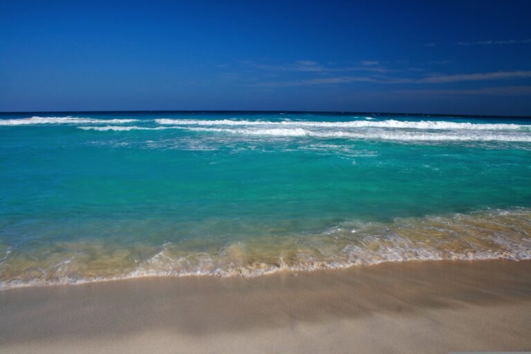 PUNTALES/ Spring Breakers: Mal Necesario