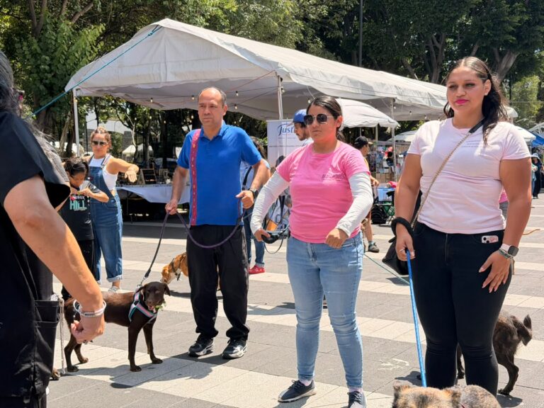Alejandro Robles Agradece la Solidaridad del Pueblo Estadounidense con México